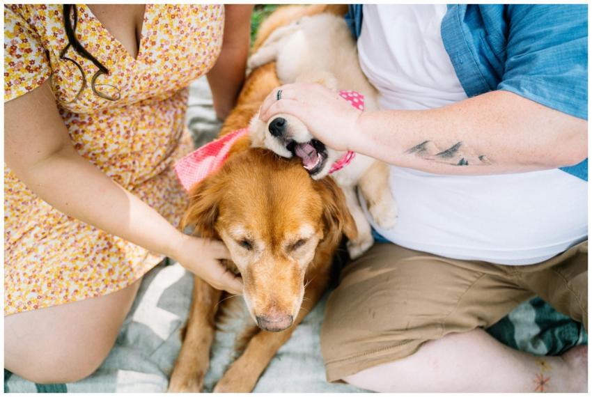 A heartwarming scene of people interacting with th