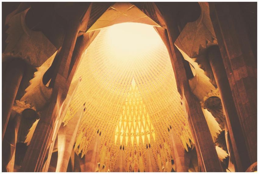 Captivating view of the Sagrada Família's ceiling