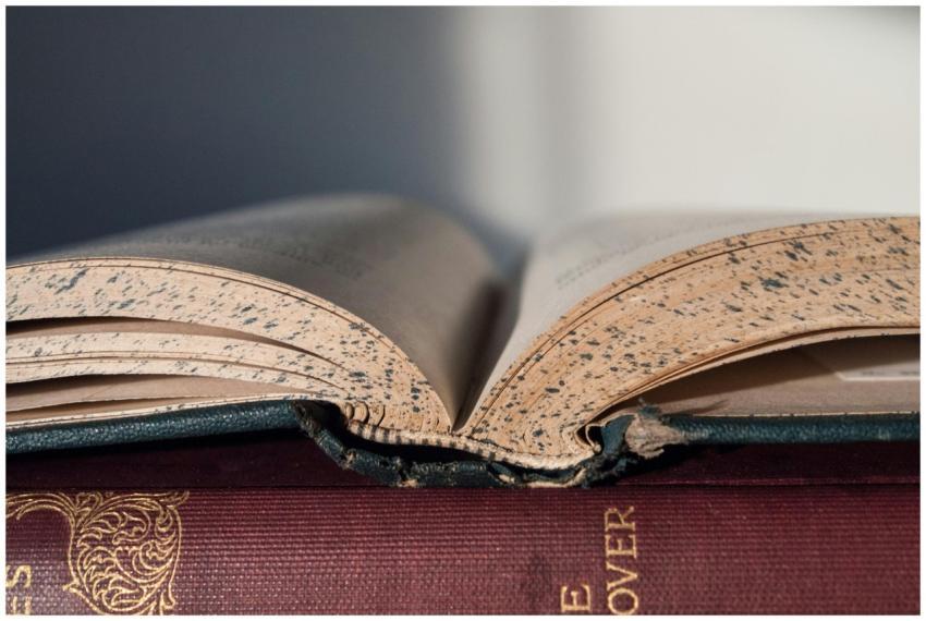Vintage open book showing worn pages, close-up vie
