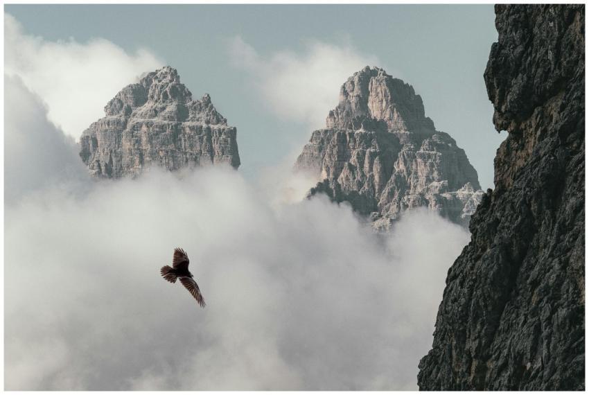 Breathtaking view of the Dolomites with a bird soa