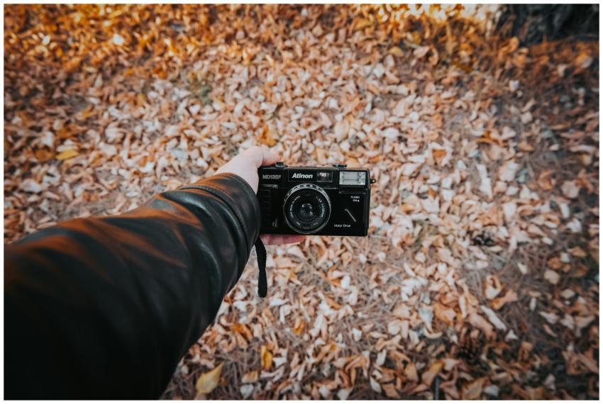 Vintage Camera Autumn Leaves