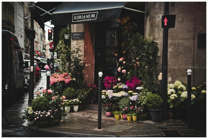 A picturesque flower shop on a vibrant urban stree
