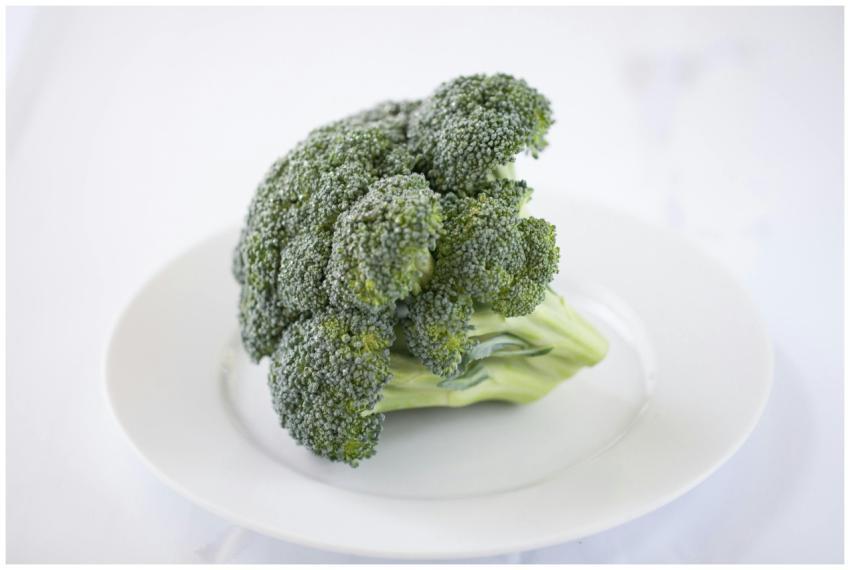 Close-up of a fresh broccoli floret on a white pla