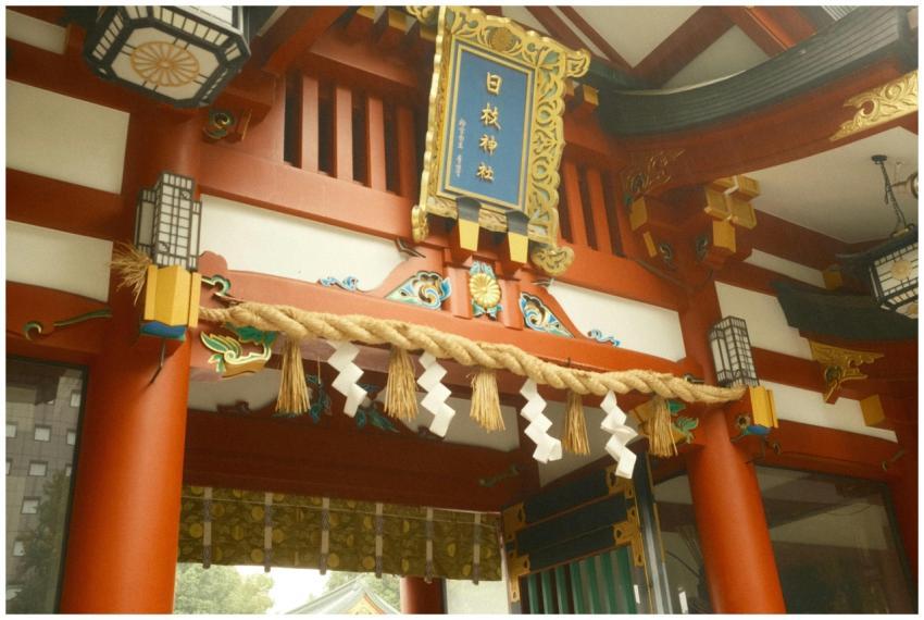 Free stock photo of aesthetic building, architectu