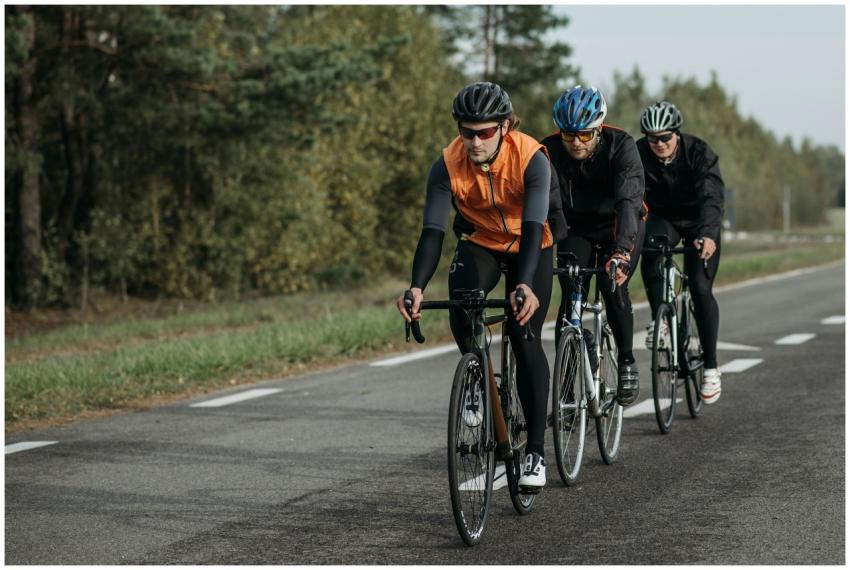 Three cyclists in gear ride along a tree-lined roa