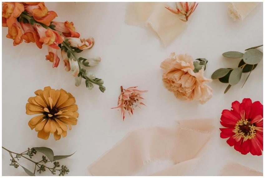 Top view composition of fresh snapdragon and eucal