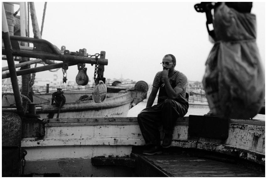 Free stock photo of award, background, beauty