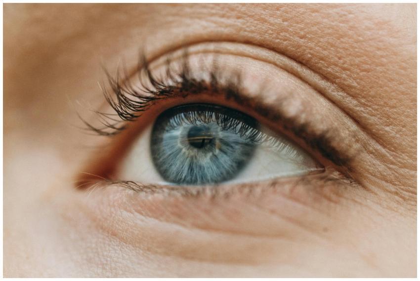 Detailed close-up macro photograph of a human eye