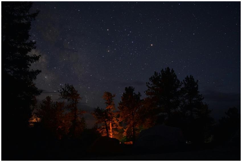 A picturesque starry night sky over a forest with