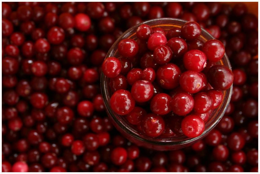 Close-up of vibrant cranberries in a glass bowl, p