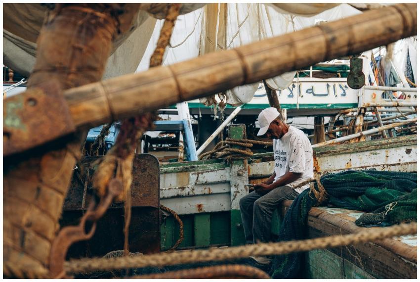 Free stock photo of award, background, beauty