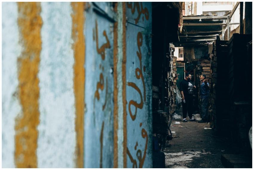 Free stock photo of award, background, beauty