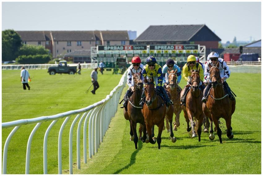 Free stock photo of bit, bridle, building