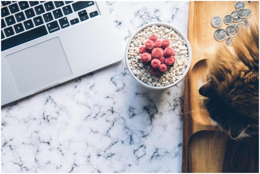 Aesthetic flat lay of a stylish workspace with a l