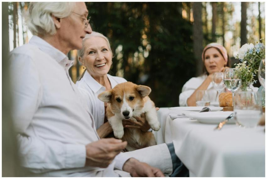 Senior adults enjoying a sunny outdoor meal with a