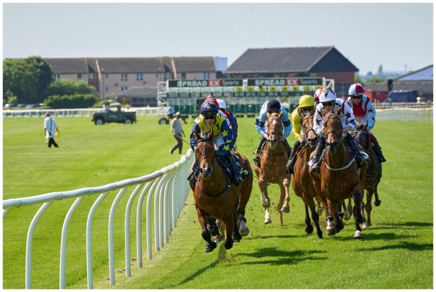 Free stock photo of bit, bridle, building