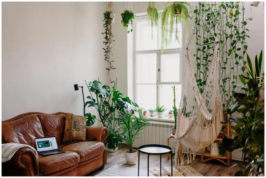 Modern living room with lush indoor plants, hammoc