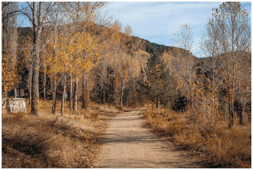 Serene Autumn Pathway Picturesque