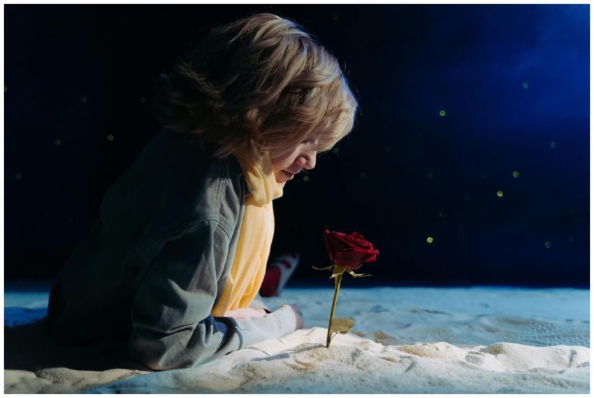 A child in cosplay as the Little Prince gazing at