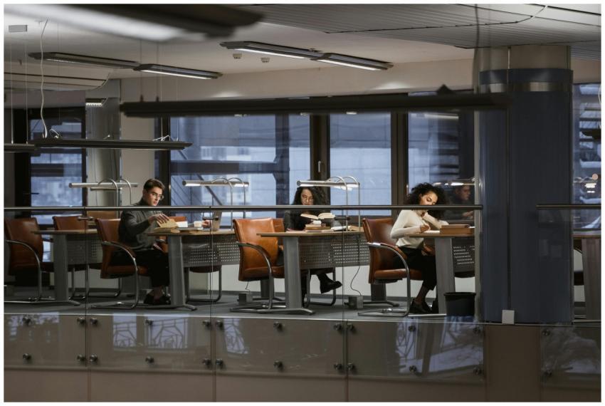 Students studying in a modern library with leather