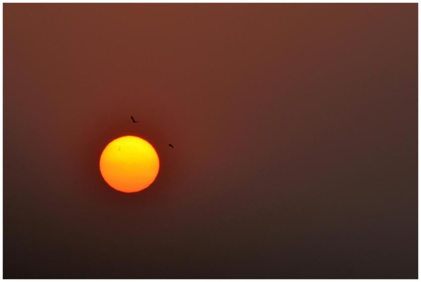 Around the Sun!

Clicked at Mumbai, Maharashtra, I
