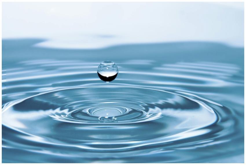 A mesmerizing shot of a water droplet capturing th