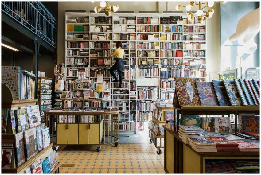 A person climbs a ladder to reach a book in a char
