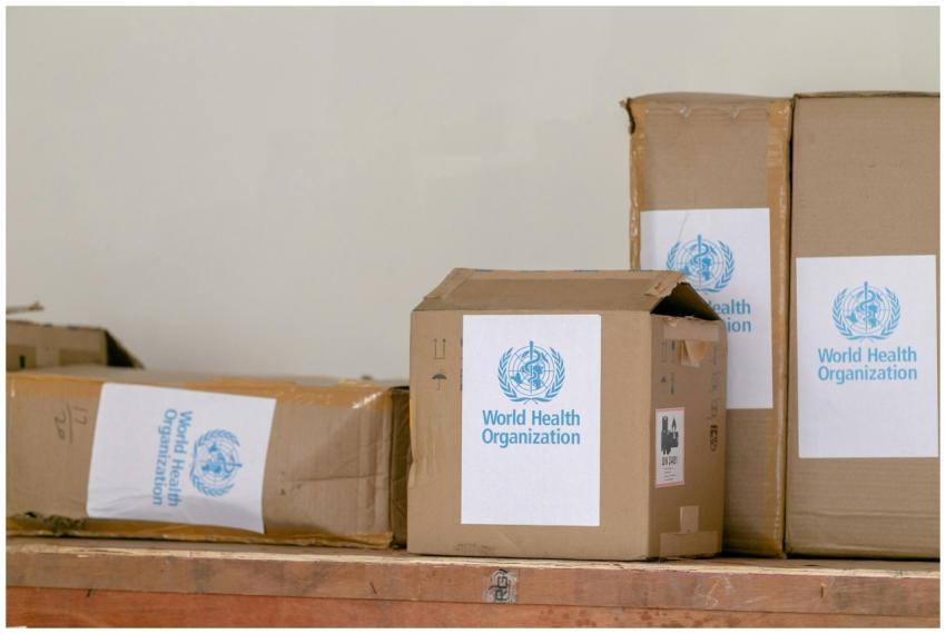 Blue emblem sticker of World Health Organization o