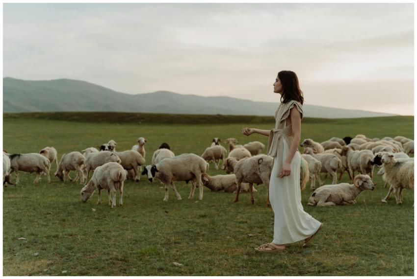 A woman in a long dress walks among sheep in a tra