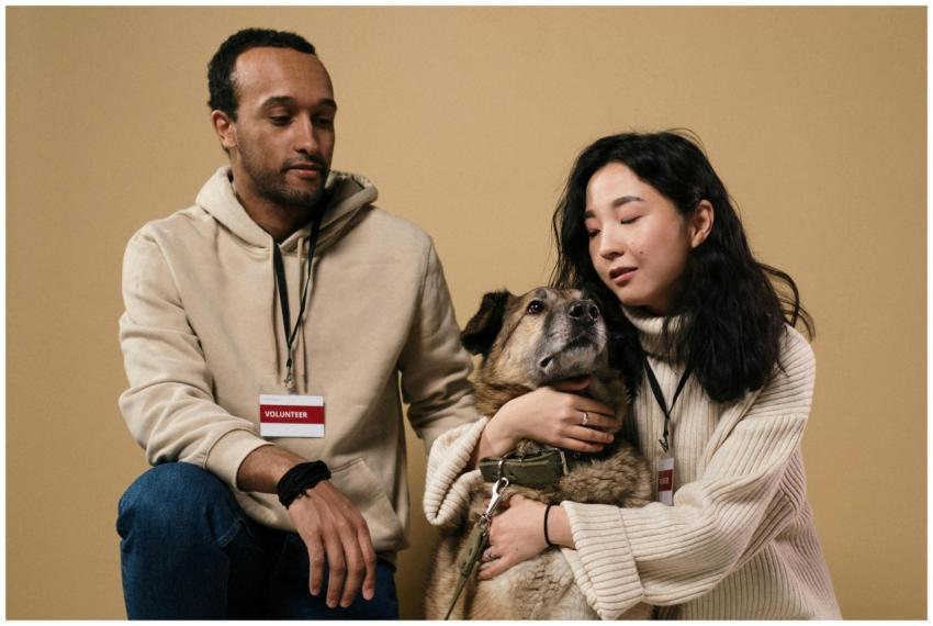 A caring couple of volunteers with a rescue dog in