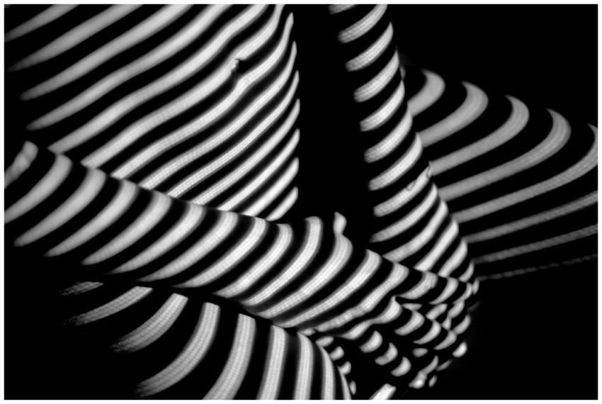 Abstract black and white image focusing on striped