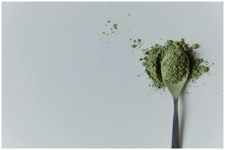 High-quality matcha powder on a spoon in a minimal