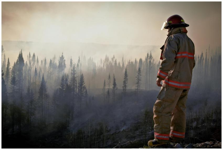 A firefighter in uniform surveys the aftermath of