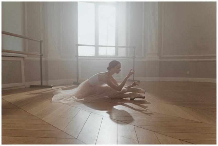 A ballerina in a tutu gracefully poses on a sunlit