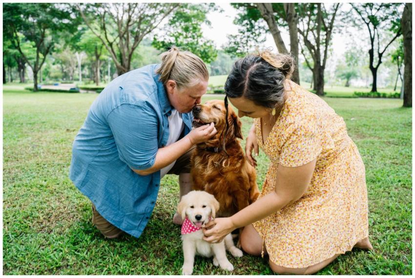 Happy couple bonding with golden retrievers in a l