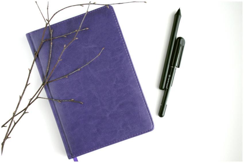 Overhead view of a purple notebook, pen, and branc