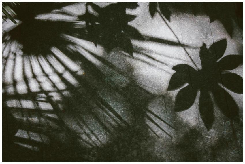 Artistic grayscale image showcasing the shadows of