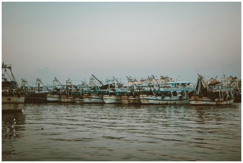 Serene scene of fishing boats docked at Ras El-Bar