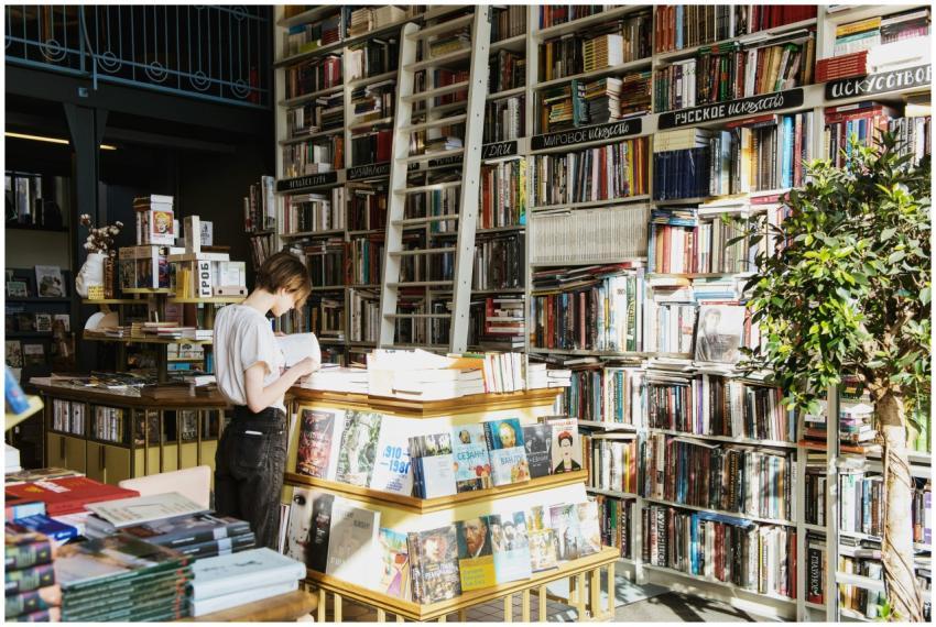 A person reads a book in a cozy, sunlit bookstore