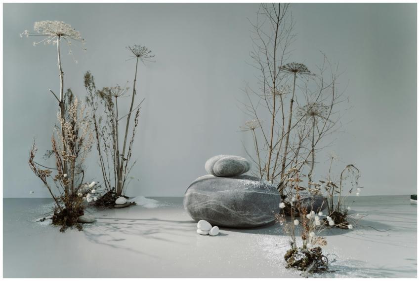 A minimalist arrangement of stones and dried plant