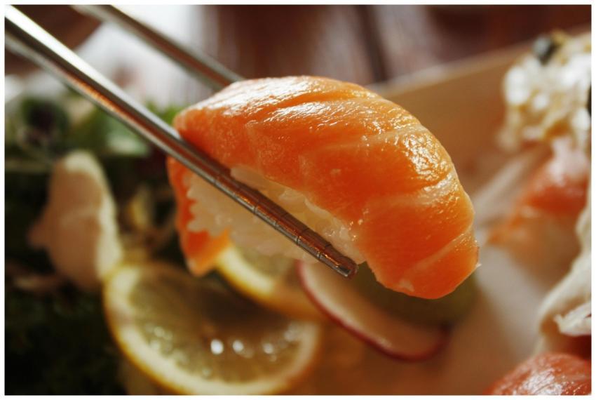 Mouthwatering salmon nigiri sushi held by chopstic