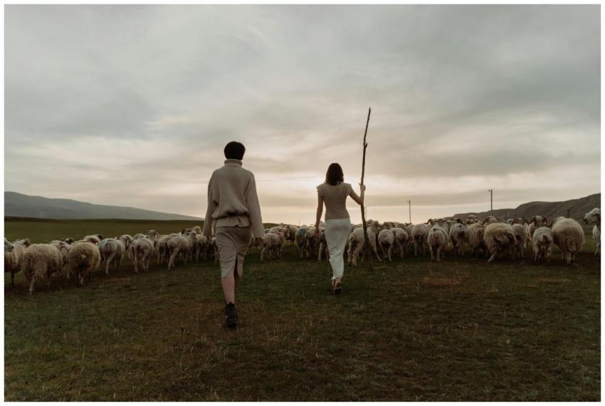 A shepherdess with a flock of sheep walking in a t