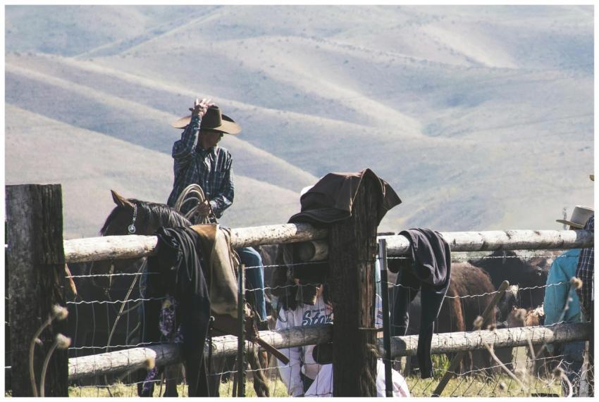 Cowboy riding horse on a rural farm with mountains