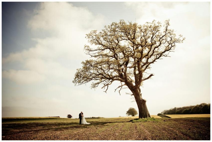 Newlywed couple embracing under a large oak tree i