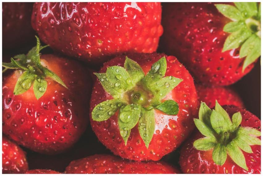 Fresh ripe strawberries with water droplets showca