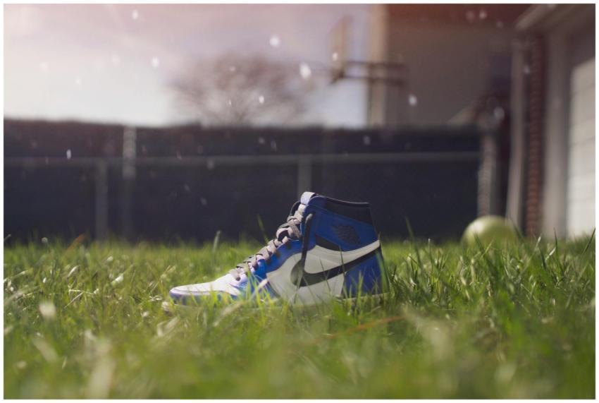 A blue Nike sneaker sits in vibrant green grass, c