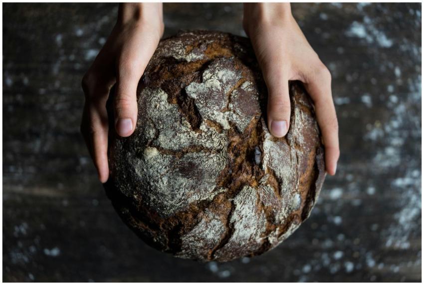 Close-up of hands holding a rustic loaf of whole w