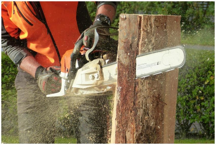 Lumberjack using a chainsaw to cut a tree trunk ou