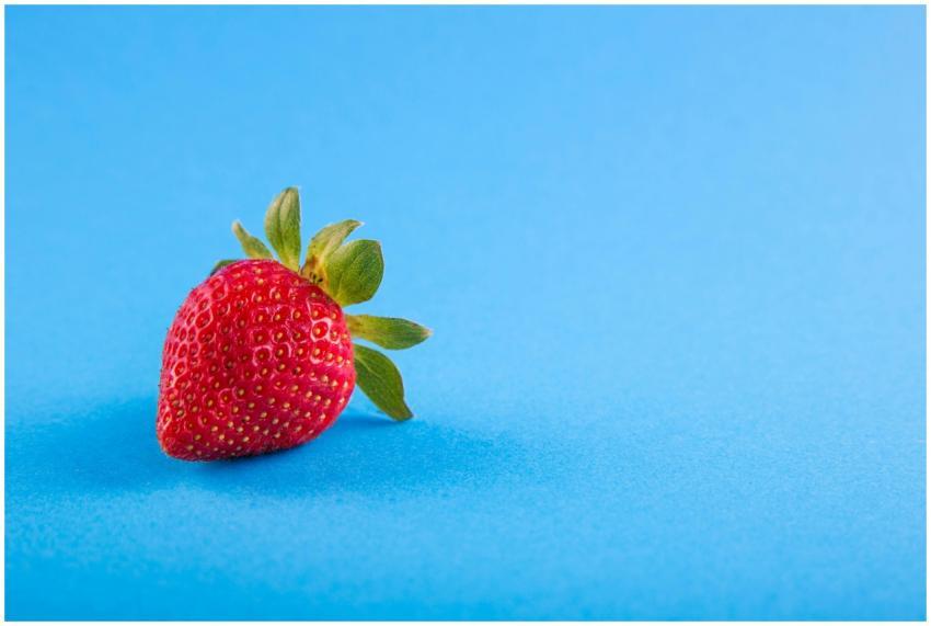 Vibrant close-up of a ripe strawberry on a blue ba