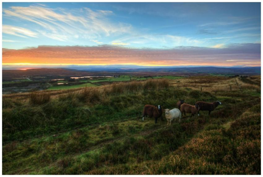 A picturesque sunset over the northern Ireland cou